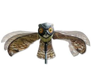 Winged Scare Owl