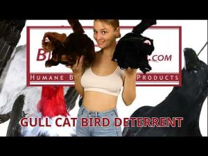 Gull-Cat cat Bird Deterrent Scares Birds