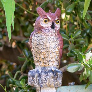 Plastic owl  to protect your garden