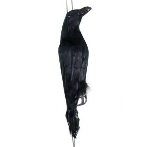 Dead Crow Bird Scare Decoy 