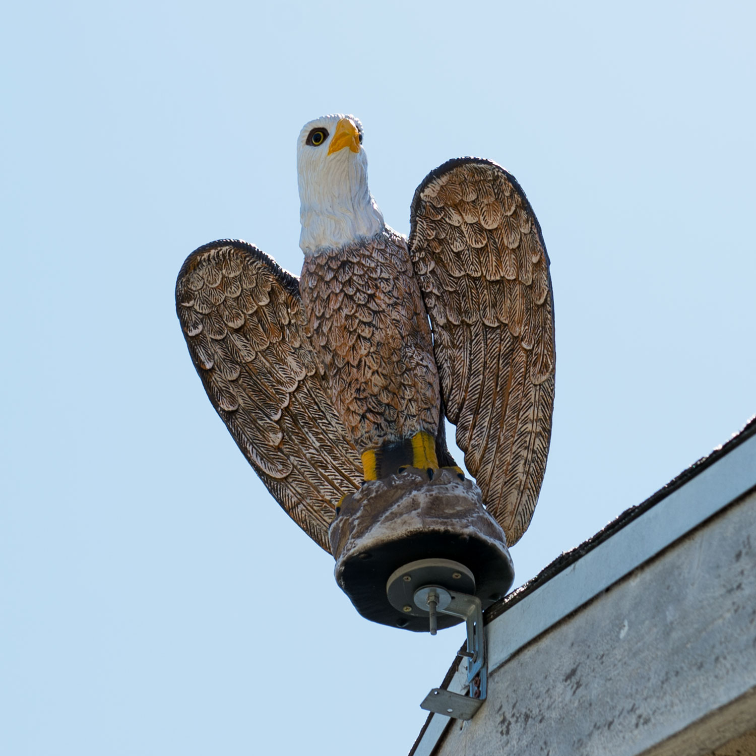 Flying Falcon Bird Scare Diverter for Agriculture & Rooftops Scare Falcon 